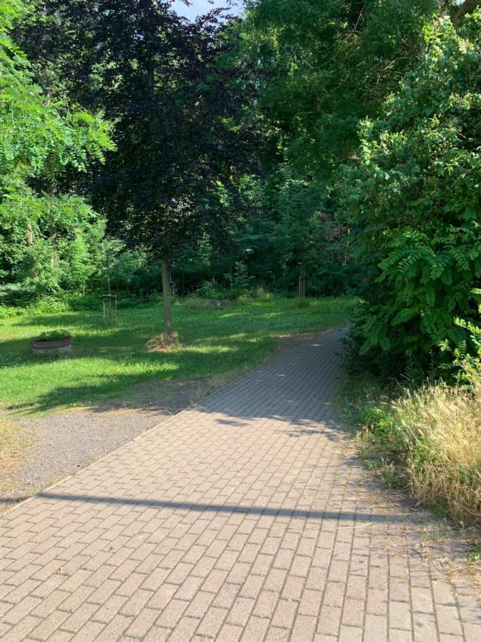 Parkhotel Schnorr Lutherstadt Eisleben Exteriér fotografie